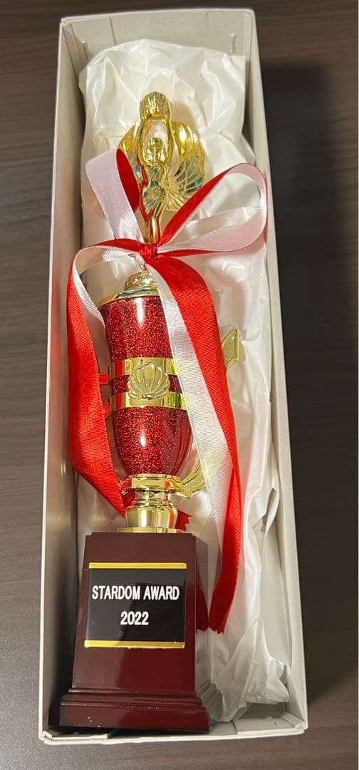 STARDAM トロフィー CDと岩谷麻優選手カード付き