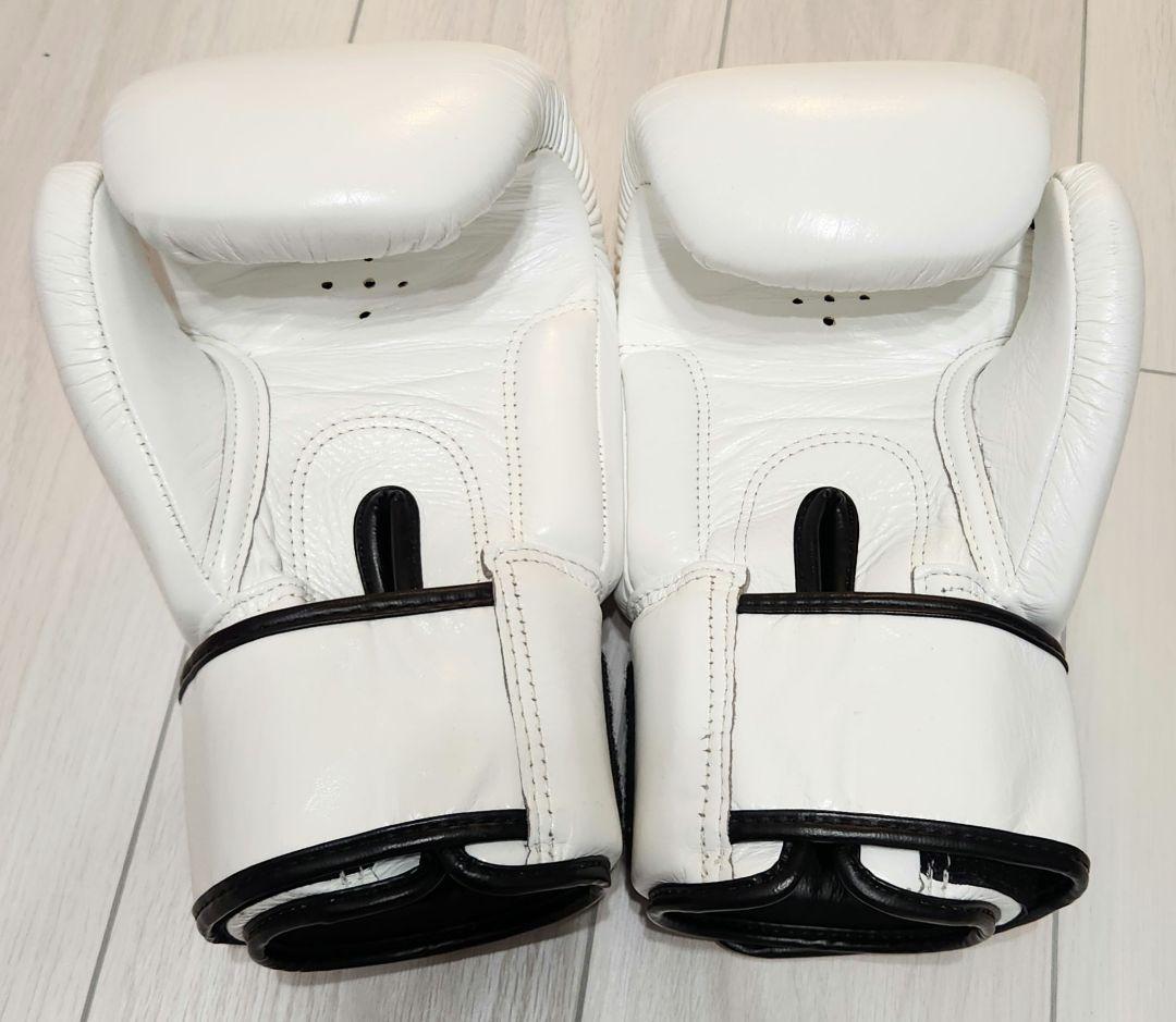 Fairtex ボクシンググローブ BGV1　16oz