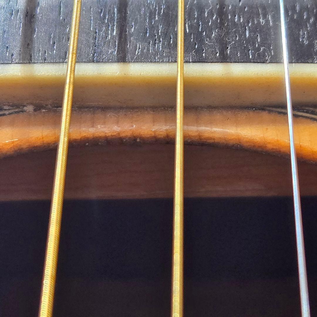 希少 TF MORRIS W-50 アコースティックギター ビンテージ