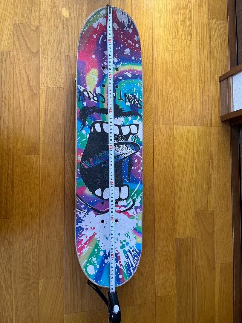 SANTA CRUZ スケートボード