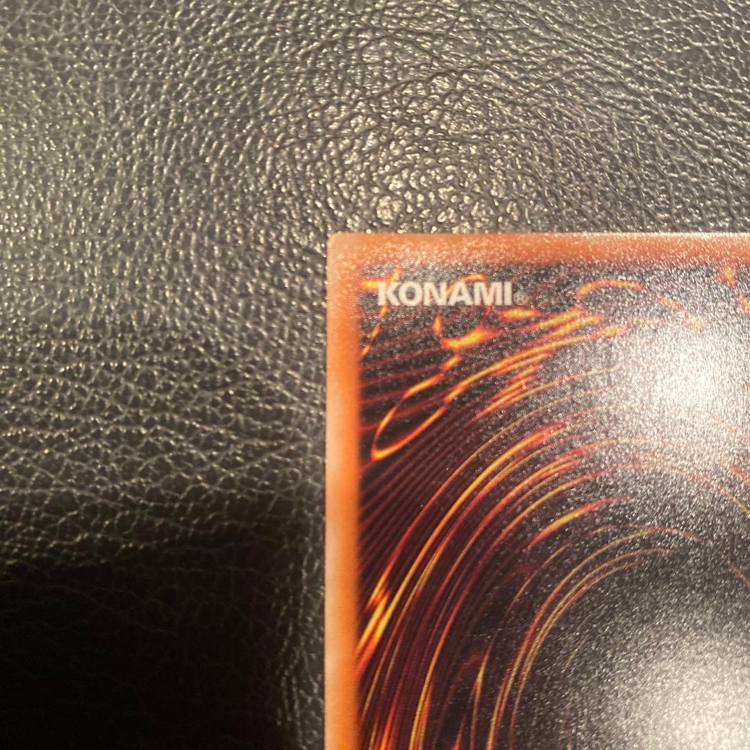 【完美品】ブラック・ローズ・ドラゴン