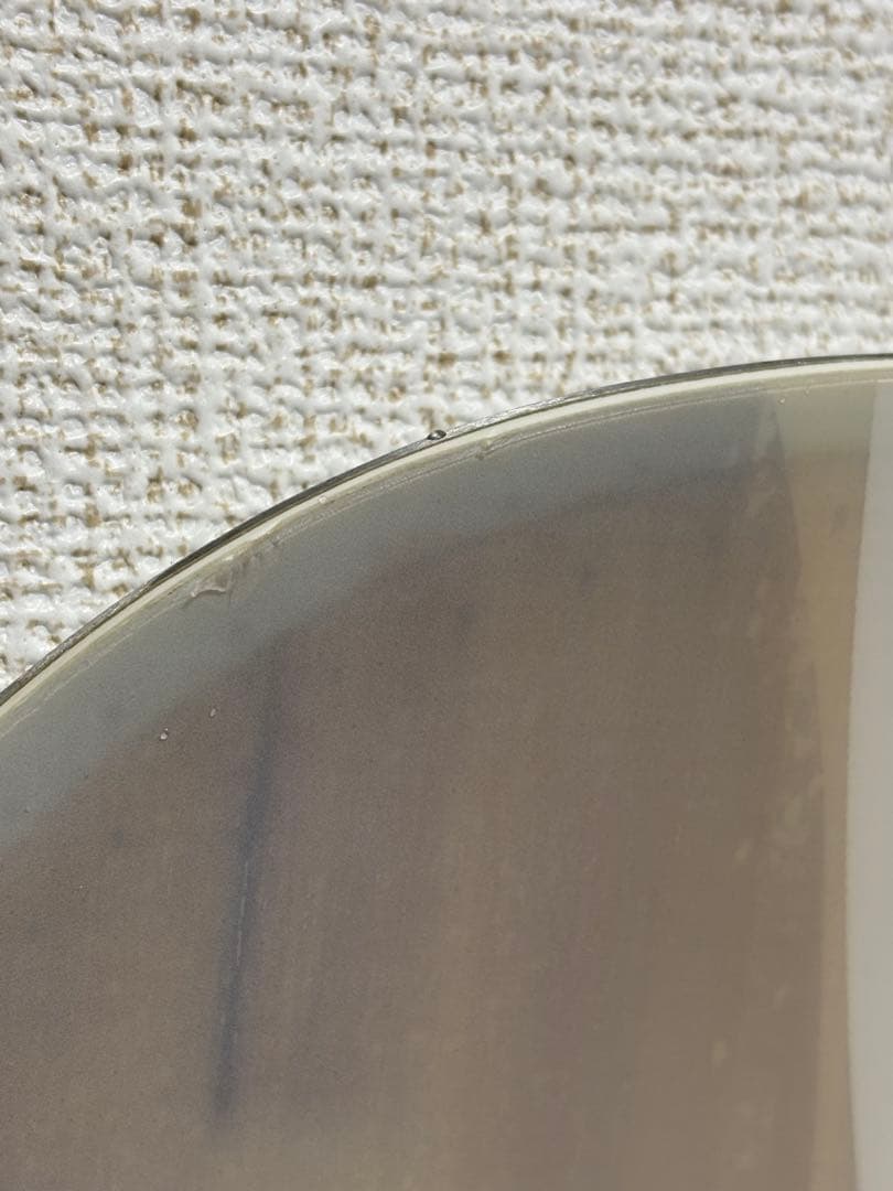 SALOMON Lotus SALOMON rhythm セット