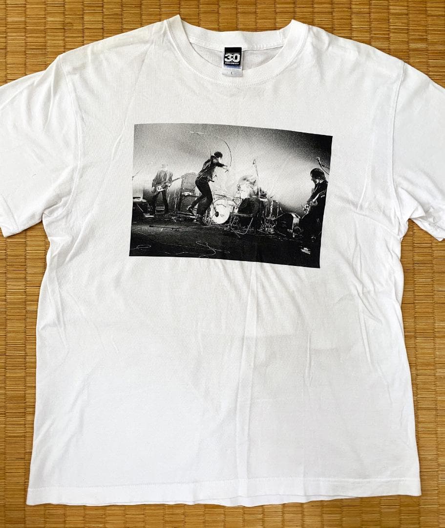 ◉ エレファントカシマシ　デビュー30周年 野音Tシャツ（L）※古着