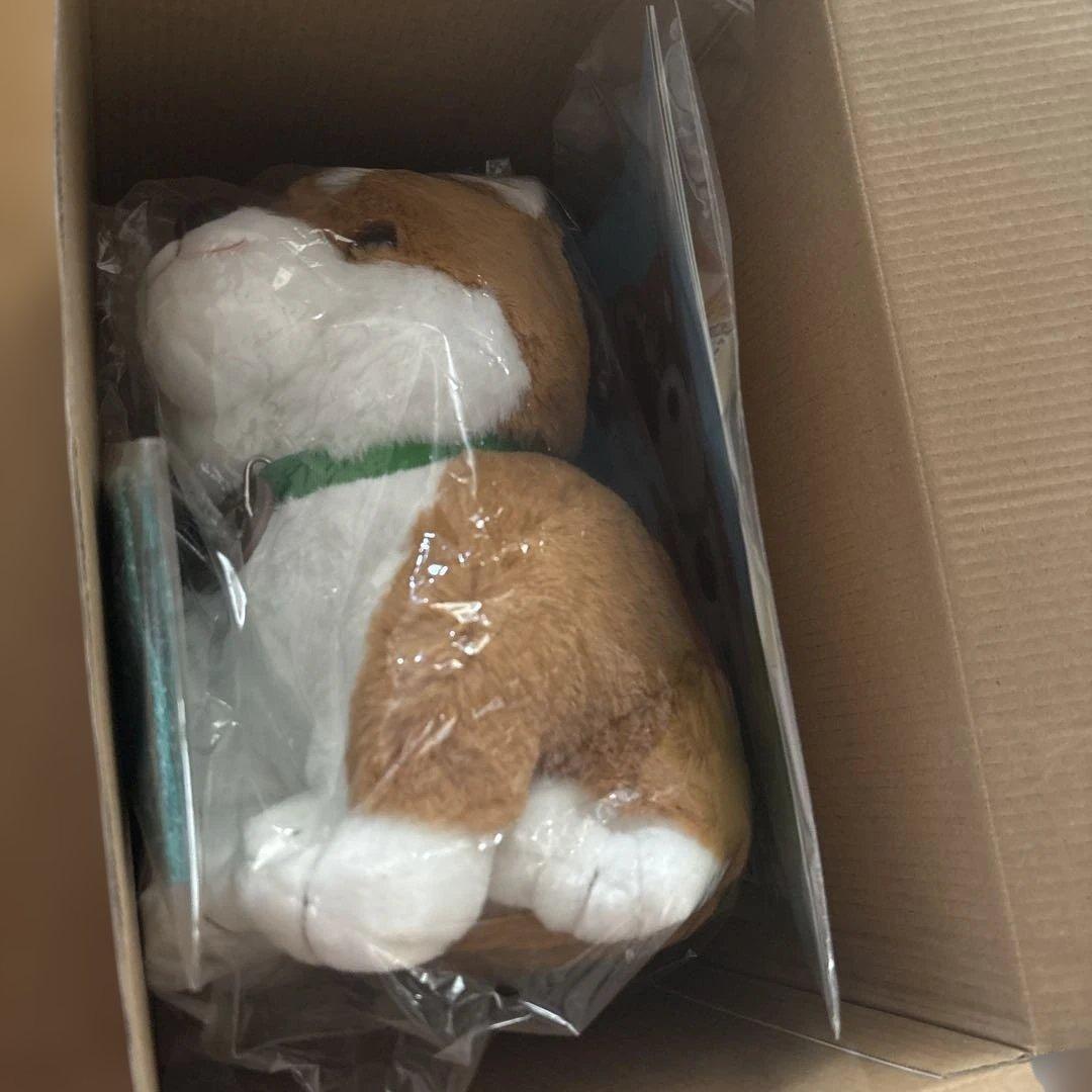 しばいぬコウタ