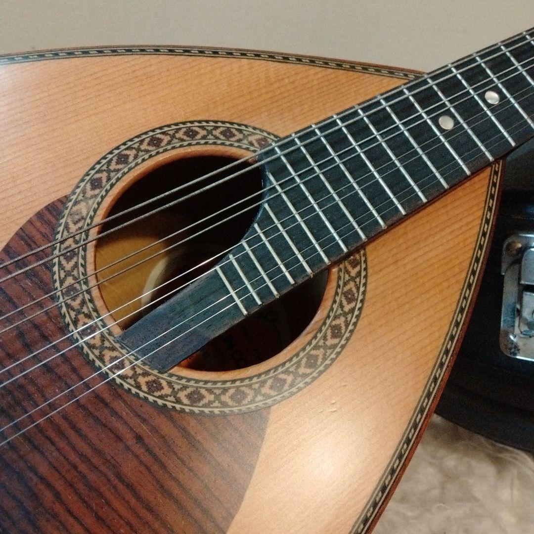 美品　Suzuki マンドリン M-210