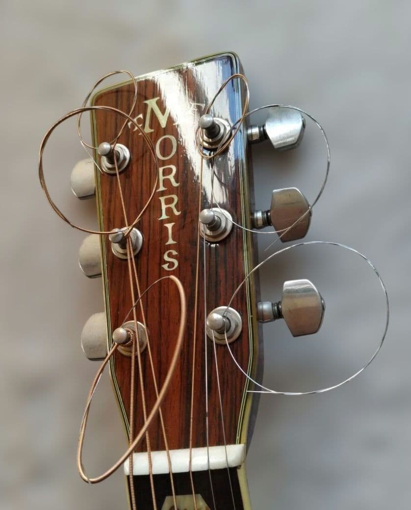 モーリスアコースティックギターTF-805