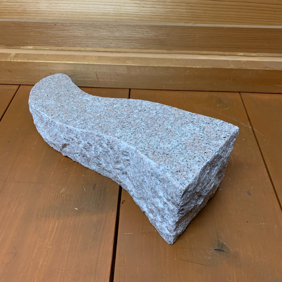 爬虫類　バスキングスロープ　17