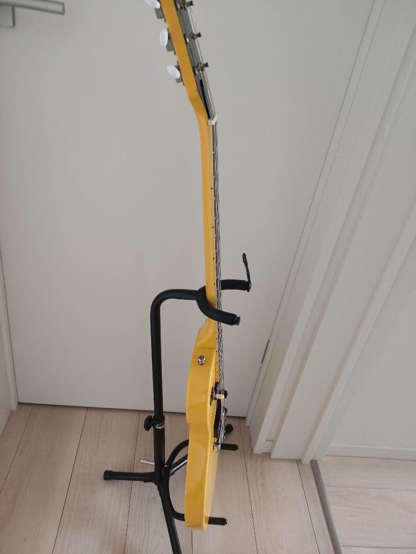 グラスルーツ　レスポールスペシャル