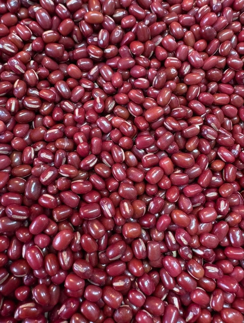 【新豆】北海道産小豆 きたろまん10kg