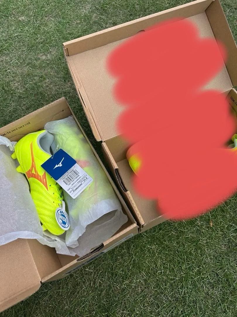 モナルシーダジュニア　スパイクのみ