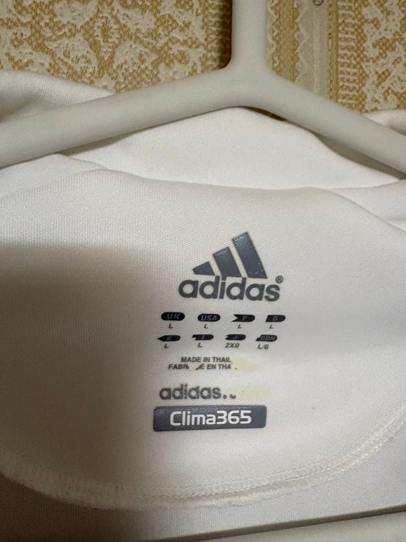 レアル・マドリード　ファンニステルローイ