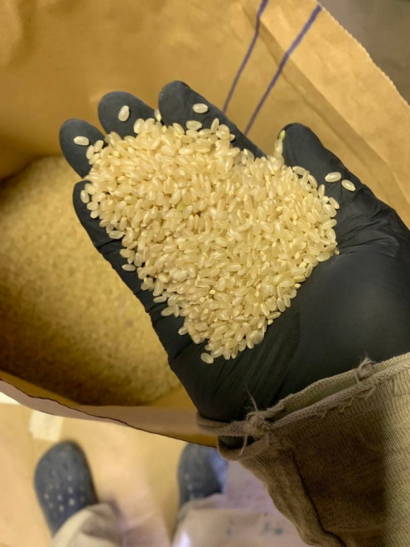 【受賞米】山形県つや姫　玄米３０キロ　農家のお米　精米可