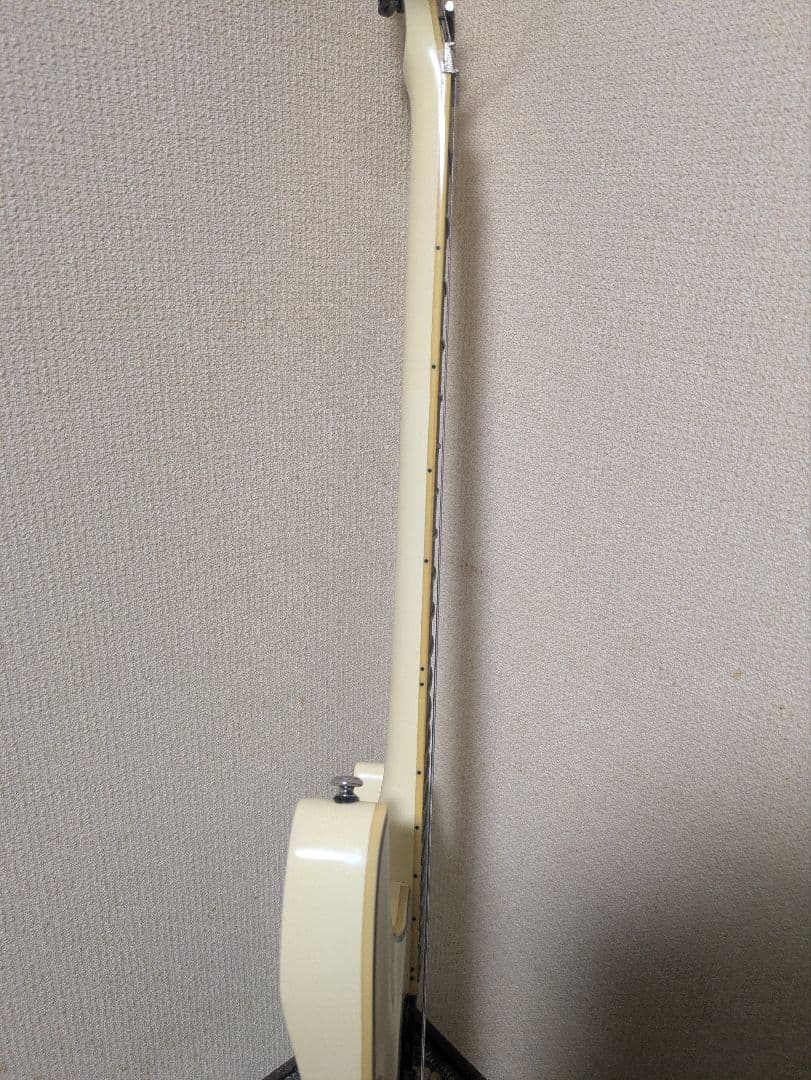 エレキギター アイボリー ハムバッカー Schecter blackJack