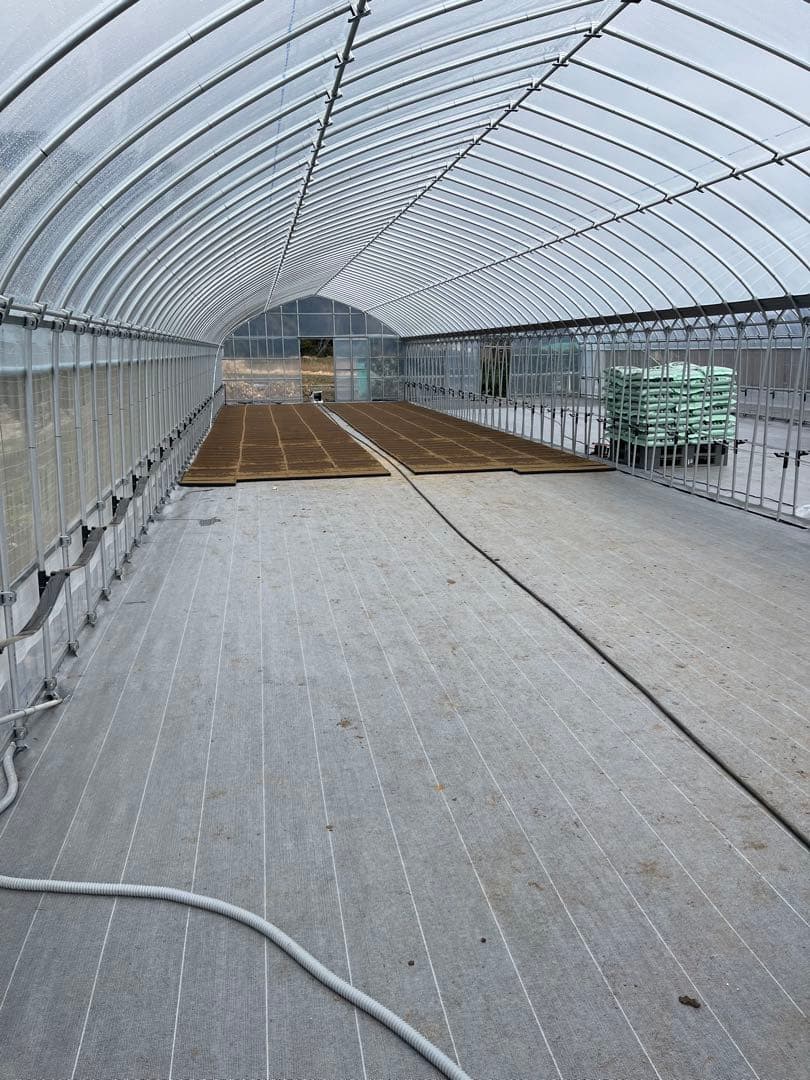 ♡もうすぐ終了♡新米 コシヒカリ 千葉県いすみ市産　10キロ白米⭐︎無洗米