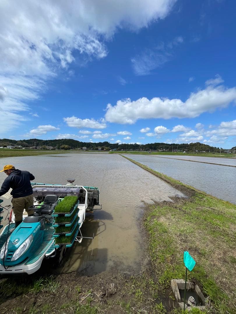 ♡もうすぐ終了♡新米 コシヒカリ 千葉県いすみ市産　10キロ白米⭐︎無洗米