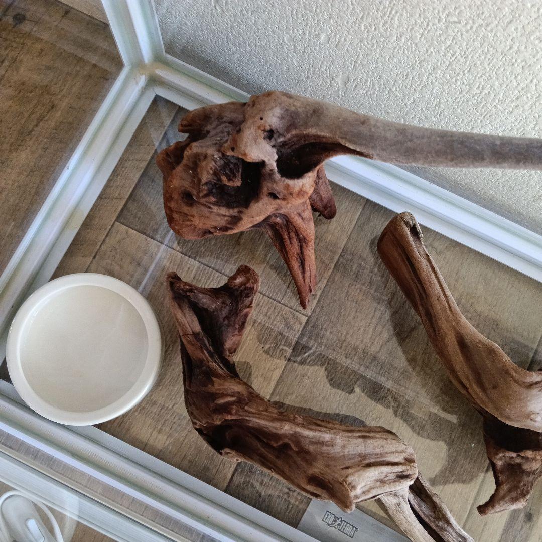 爬虫類ゲージセット売り　【バラ売り不可】【引取可】