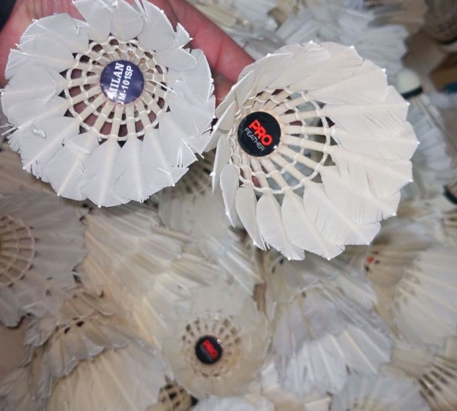 中古シャトル180個　基礎打ちに！