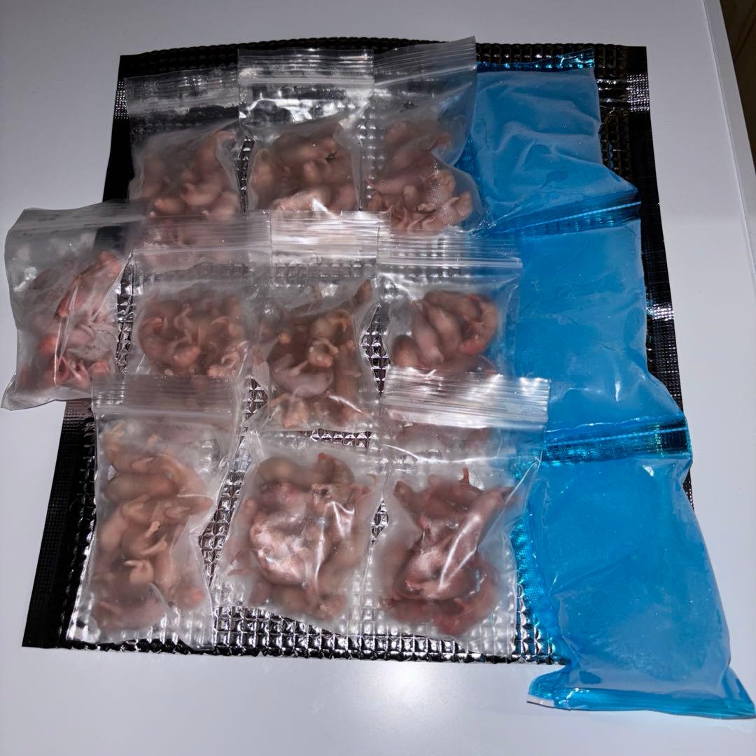 ウパ 冷凍マウス ピンクマウスSS 200匹セット 送料込み