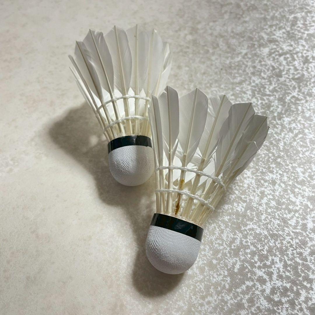 2本セット　YONEX ヨネックス TI-ZERO バドミントンラケット