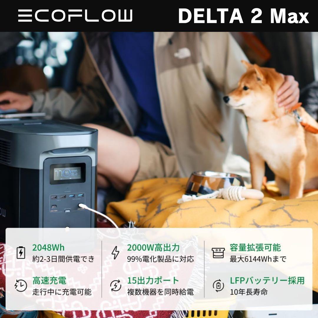 【新品未使用】Ecoflow DELTA 2 Max・純正 専用ケース