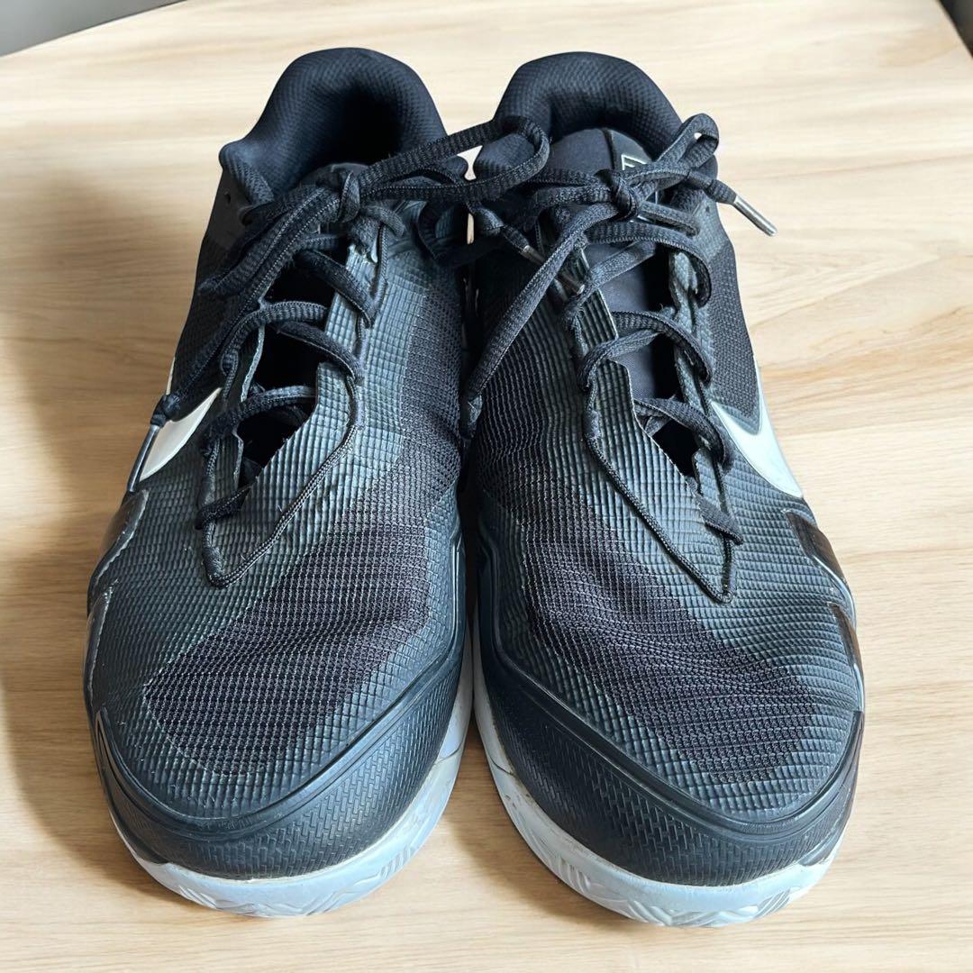 恐竜　ナイキ　テニスシューズ　ズームヴェイパープロ　クレー　オムニ