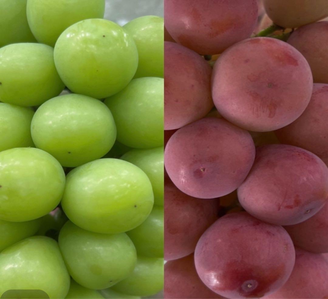 みーにゃんこさん専用