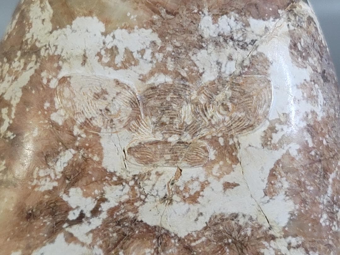 中国 砡石刻 饕餮紋 祭飾 DT742