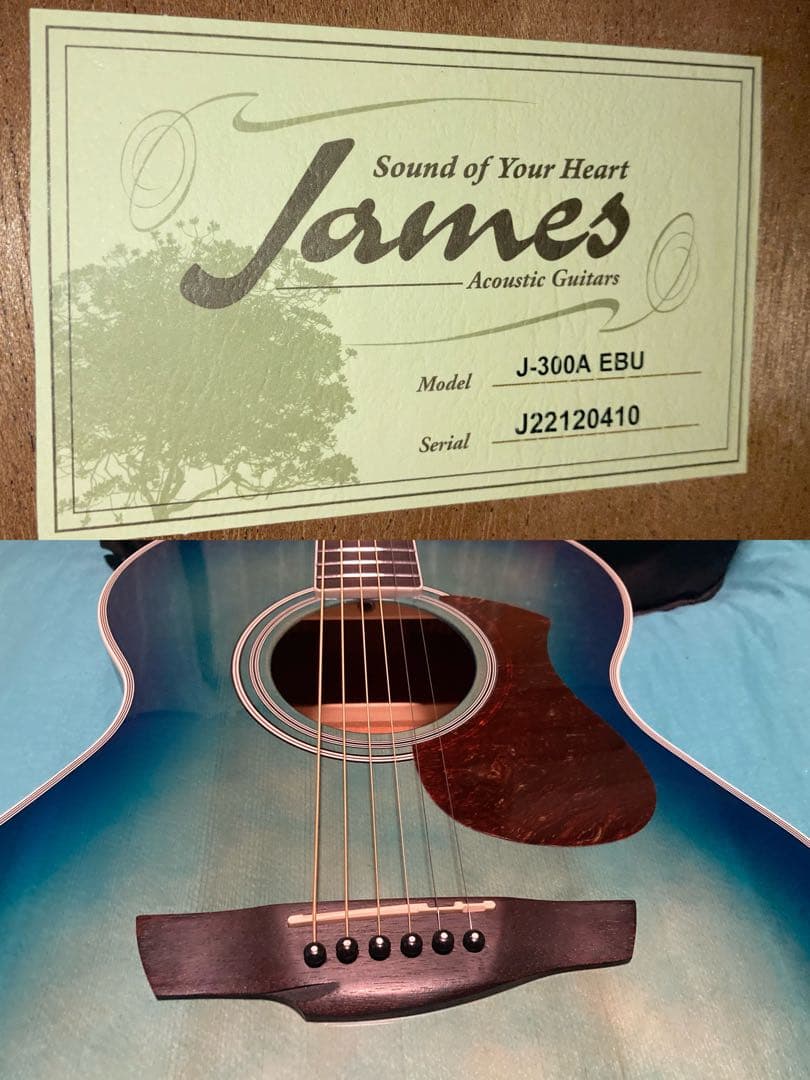 James J-300A/EBU ジェームスギター