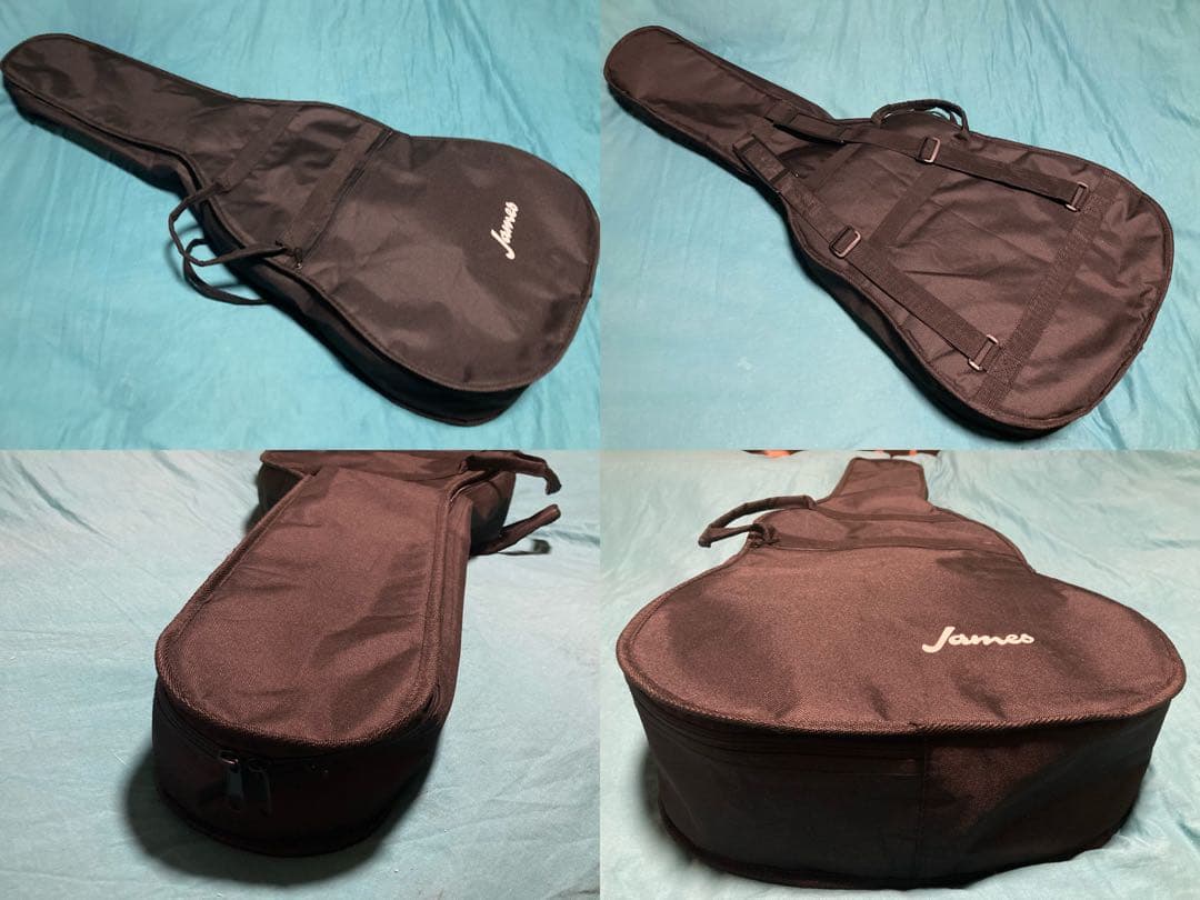 James J-300A/EBU ジェームスギター