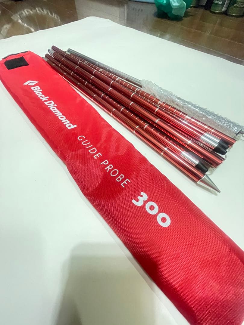  ガイドプローブ 300