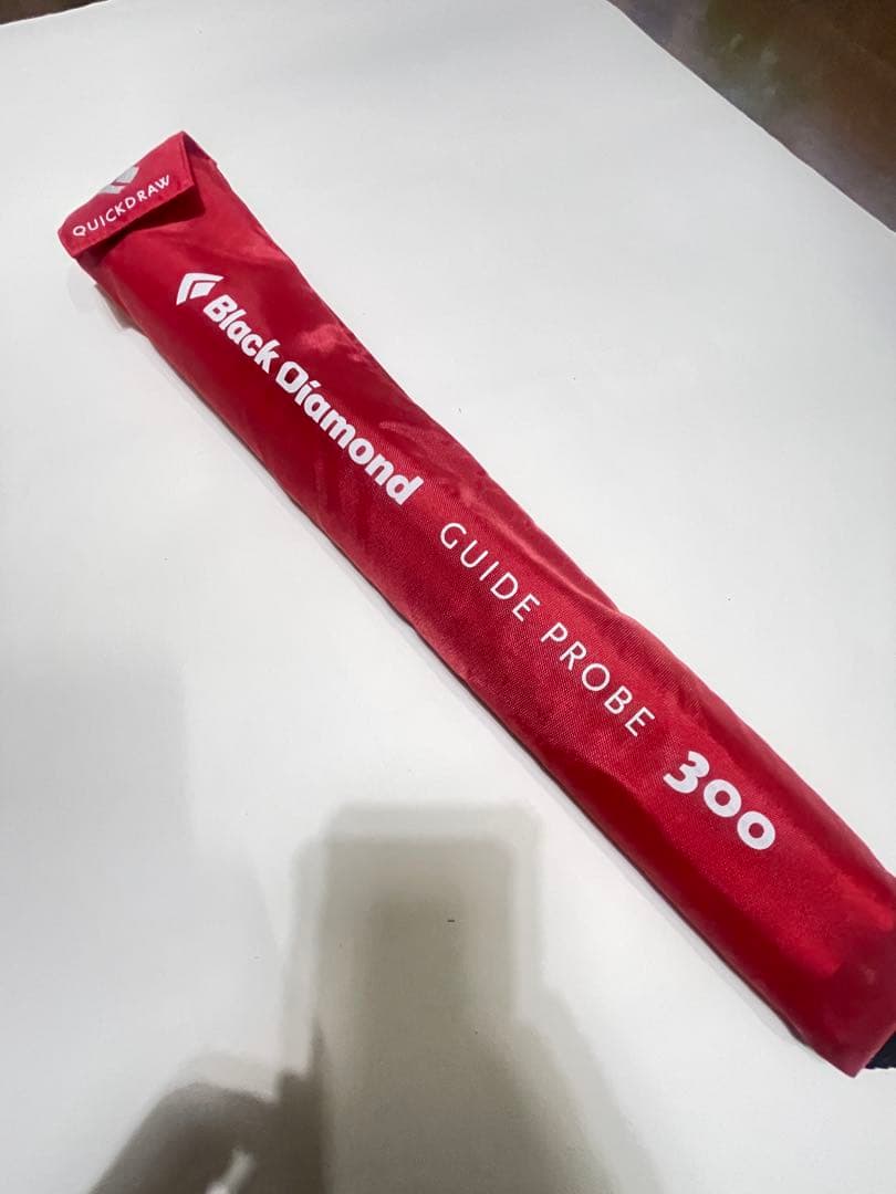  ガイドプローブ 300
