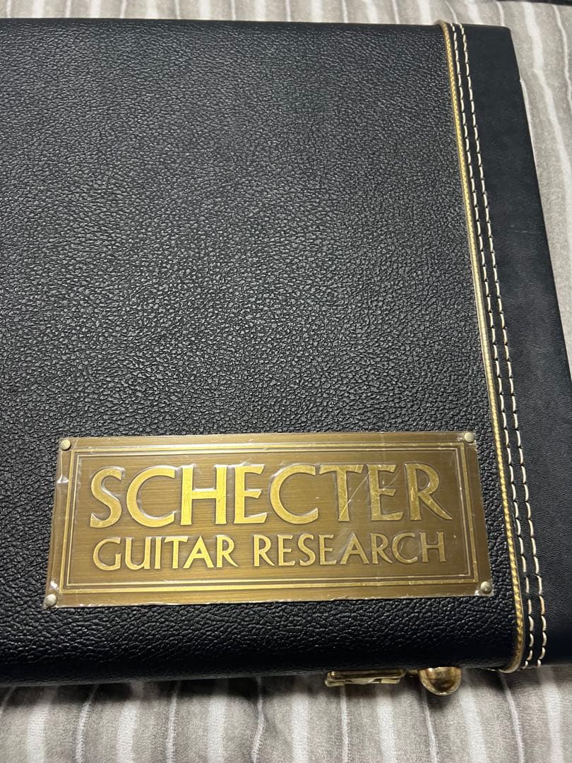 熊SCHECTER PW-EX-B-BL/FL