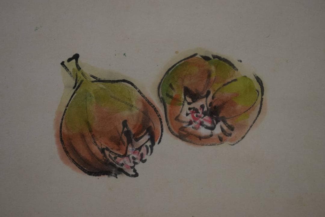 不詳/作者不詳/無花果/イチヂク図/布袋屋掛軸HI-273