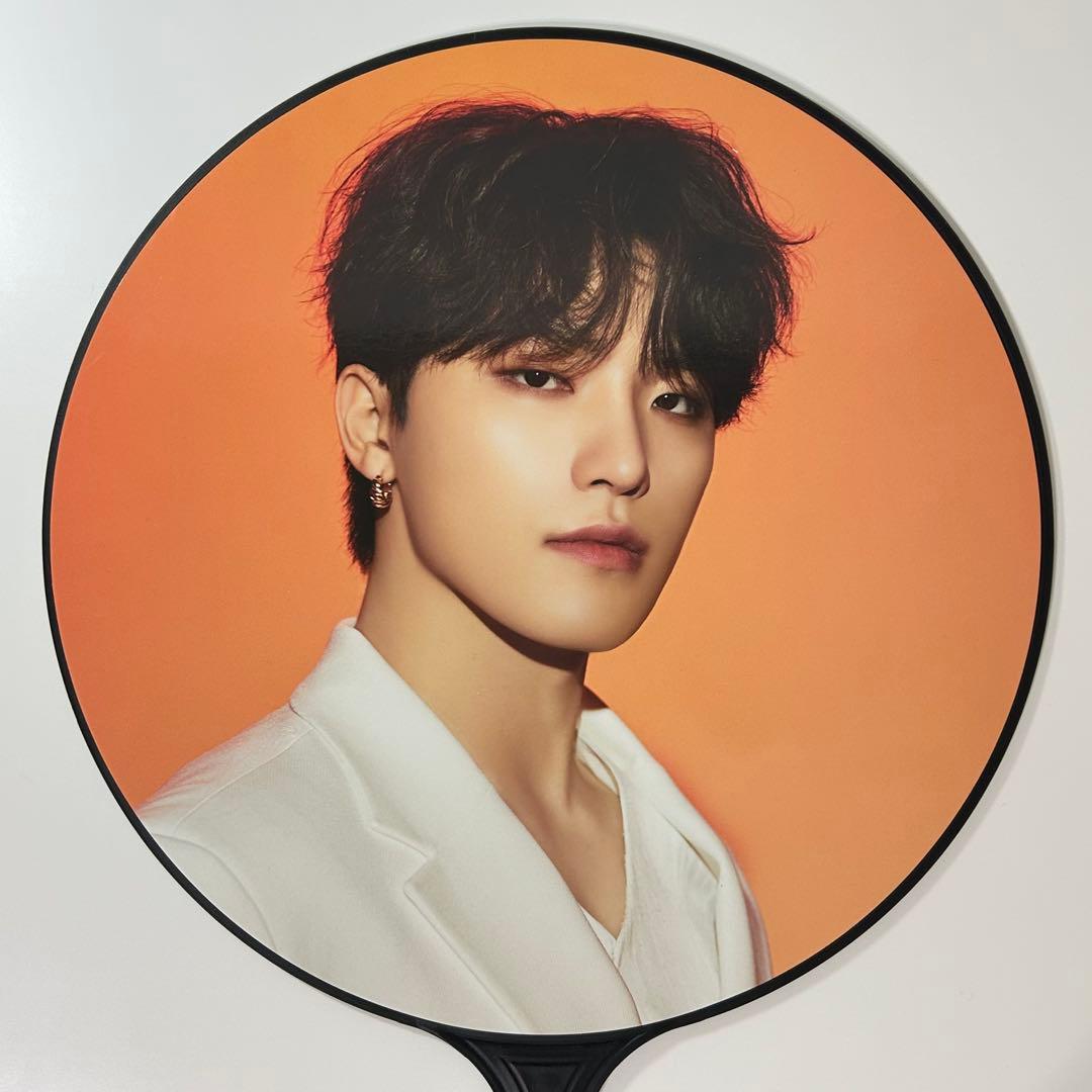 SEVENTEEN ディノ まとめ売り