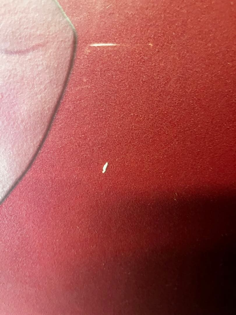 ガラス絵画(値段仮設定・値段交渉可能)