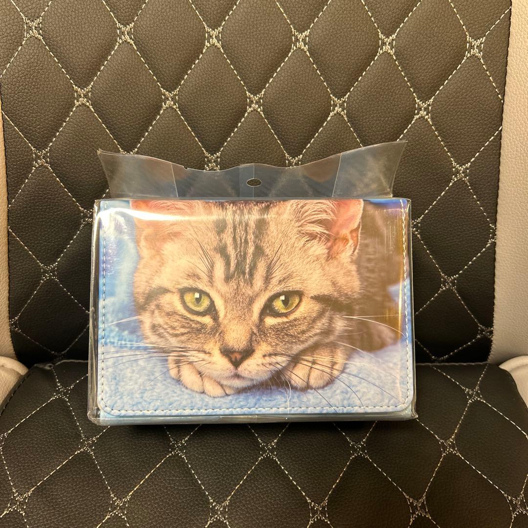 トレカアイテムくじex 『猫コレクション』A賞　デッキケースW 『サバトラ』