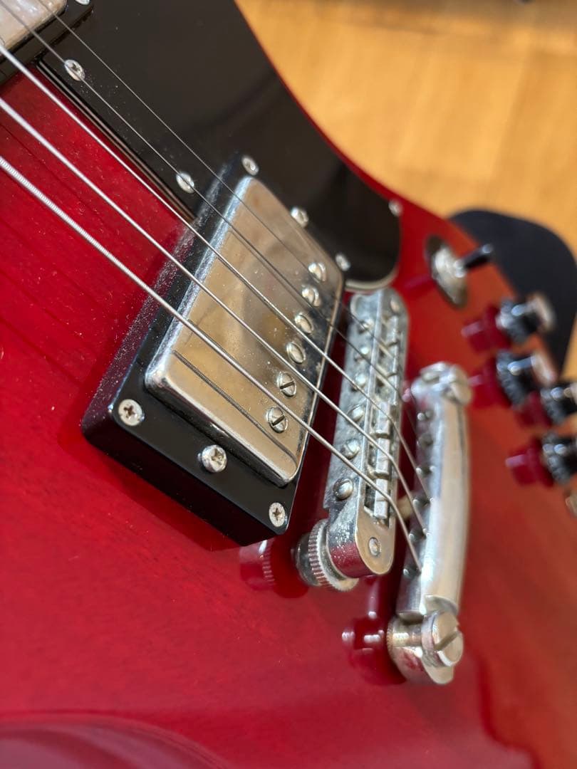 burny バーニー　SGモデル