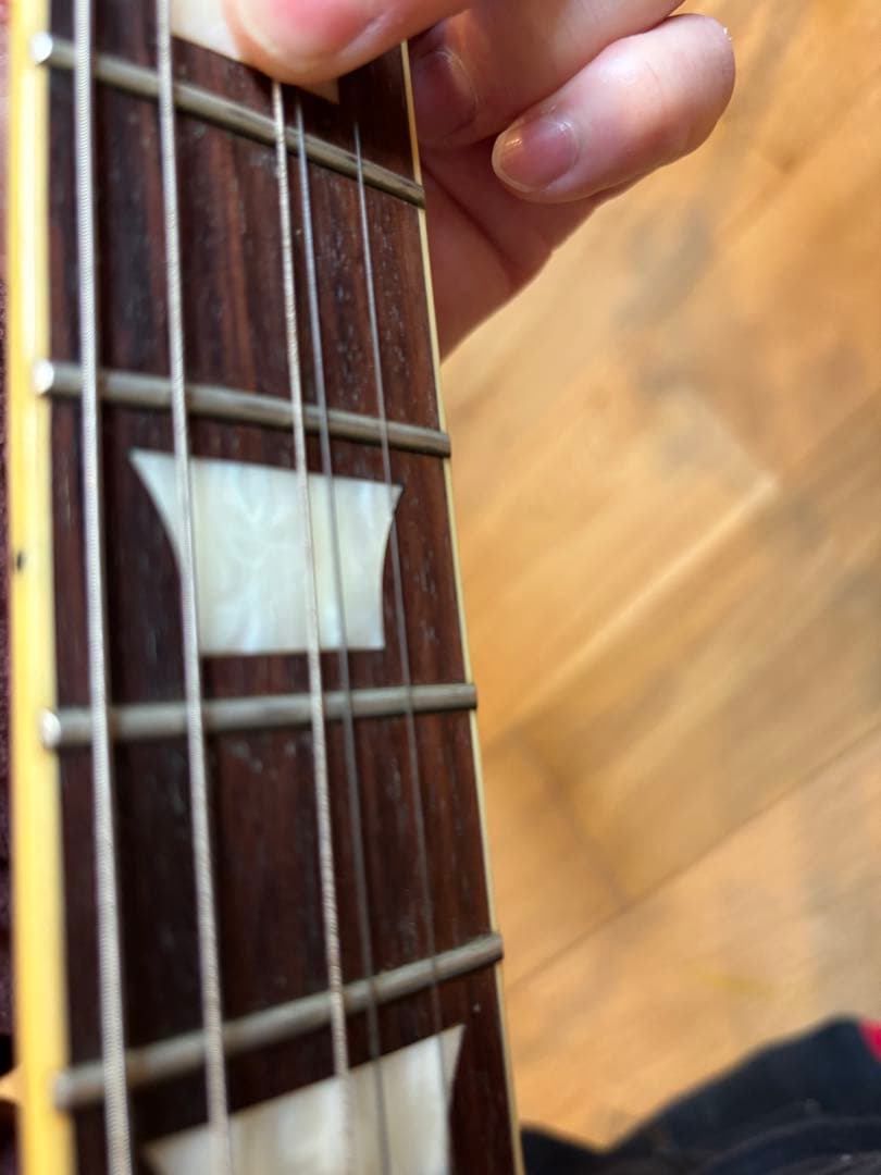 burny バーニー　SGモデル