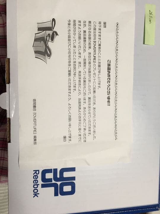 【激レア限定品】乃木坂46 リーボック ポンプフューリー