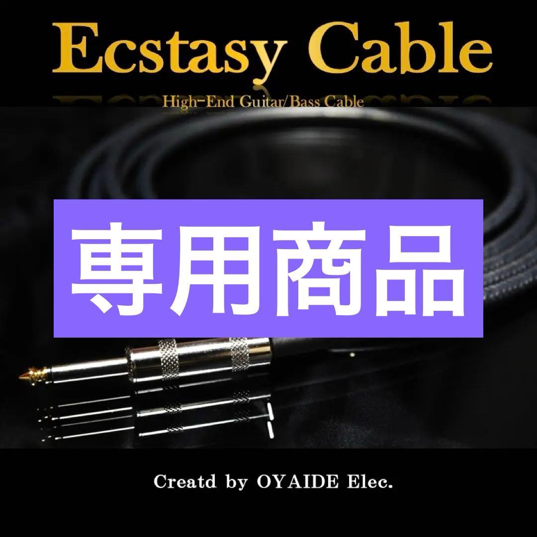 HighEnd】フラッグシップ Ecstasy Cable「L/S2m」［新品］