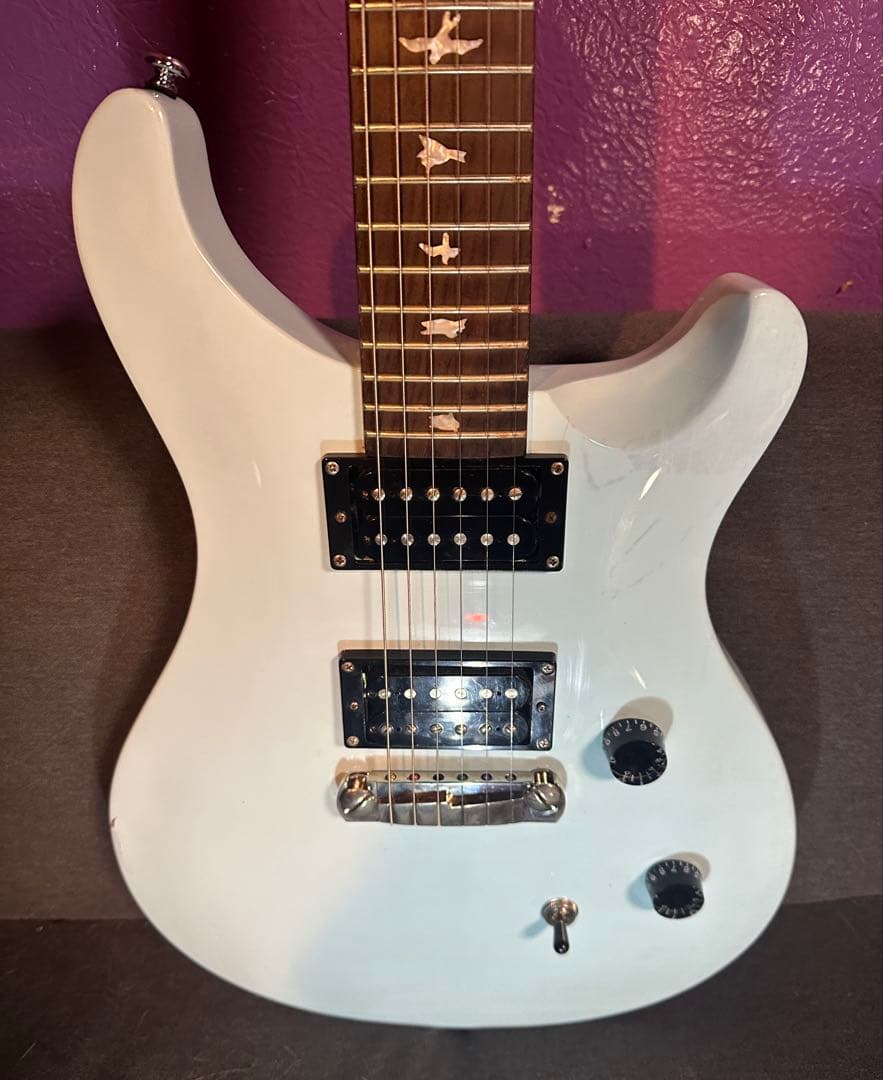 ＰＲＳ　SE Tim Mahoney