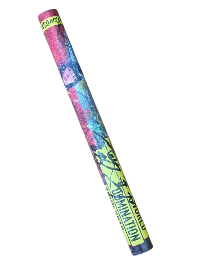 BAND-MAID ツアーポスター WORLD DOMINATION 2019