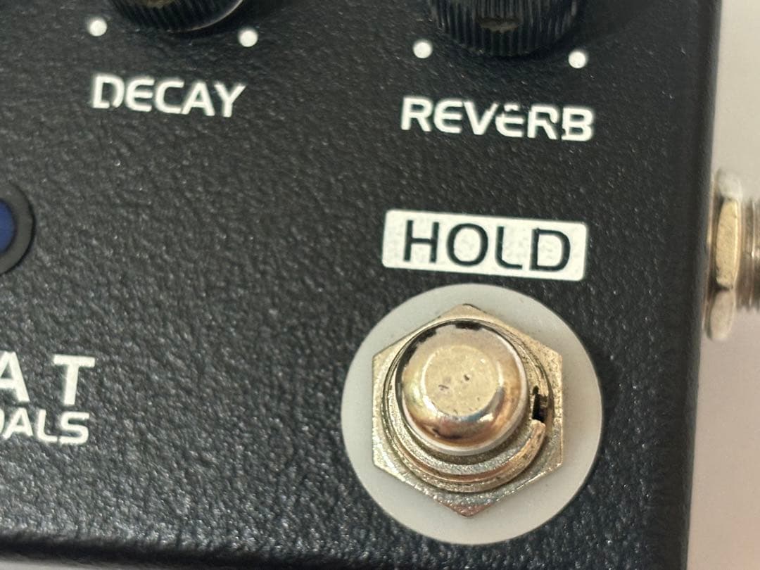 ギター ZCAT Pedals /Hold-Reverb
