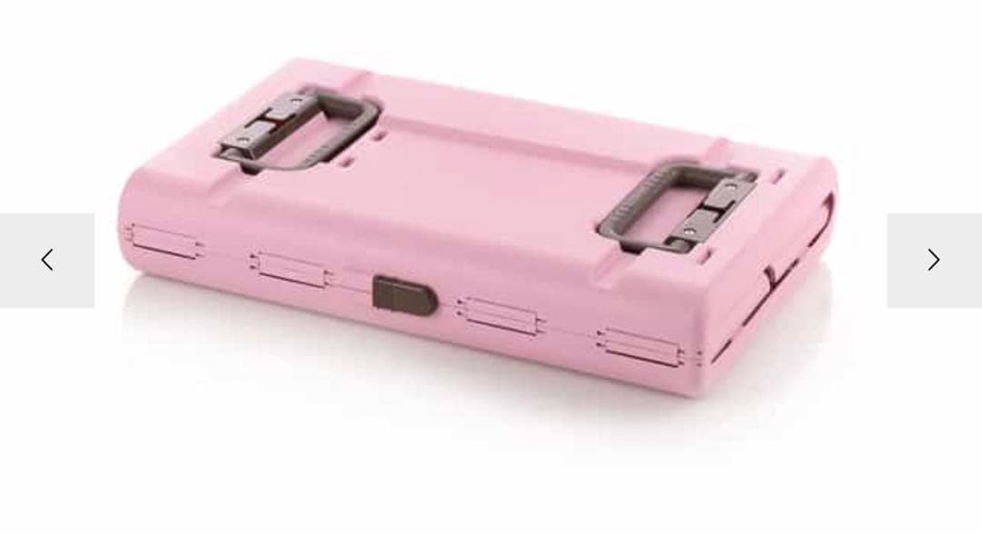 リッチェル キャンピングキャリー 折りたたみ L ライトピンク