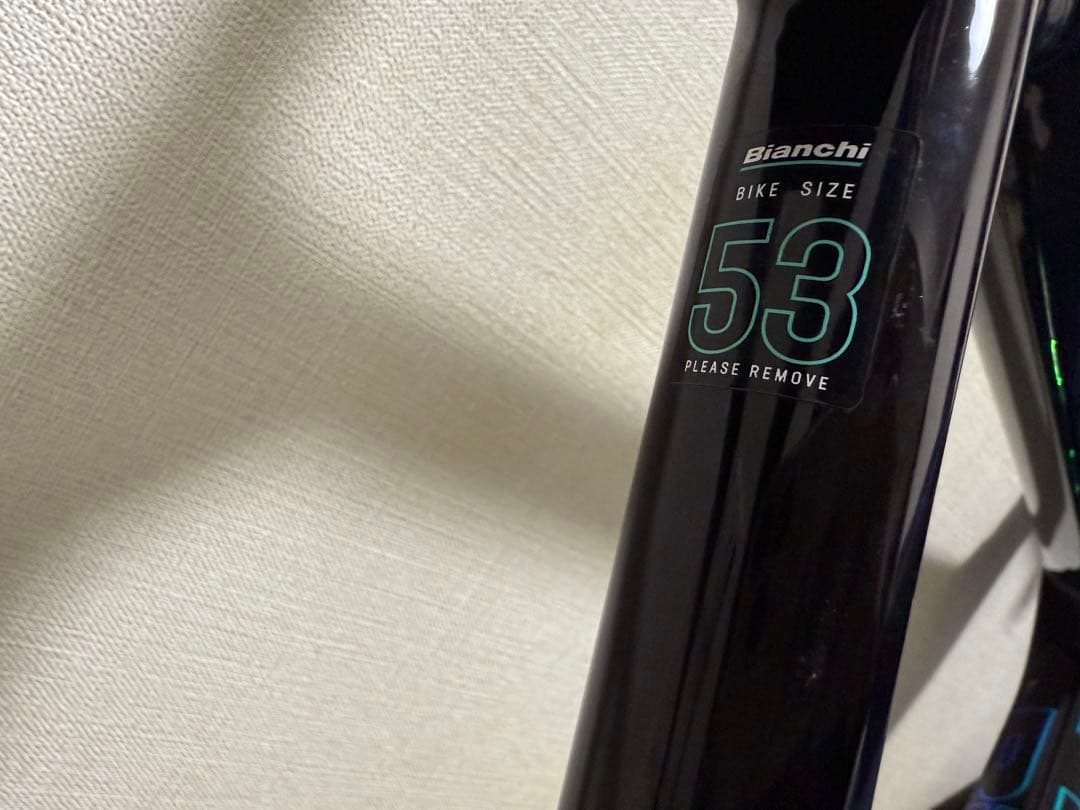 Bianchi Specialissima Disc 53size ビアンキ