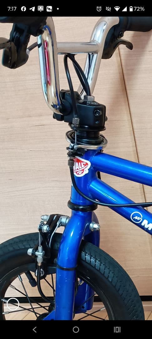 MOTEL WORKS PAL 12インチ