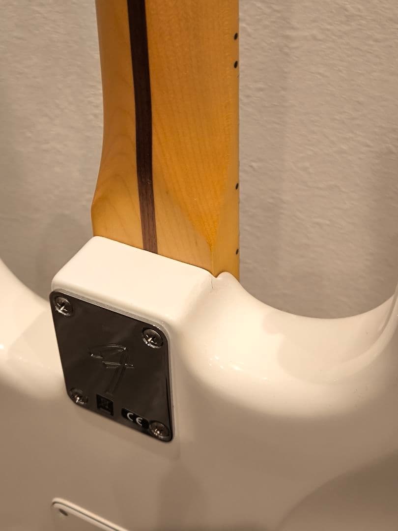 Fender Player Stratocaster HSS 75周年記念モデル