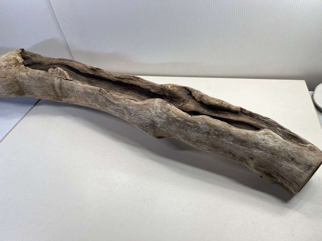 V3 特大流木 アク抜き済み流木 爬虫類シェルター 登り木 インテリア 生け花