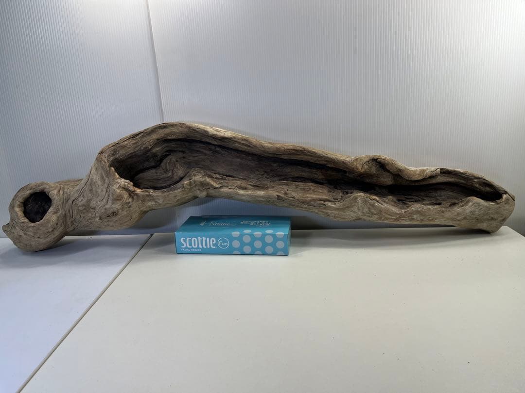 V3 特大流木 アク抜き済み流木 爬虫類シェルター 登り木 インテリア 生け花