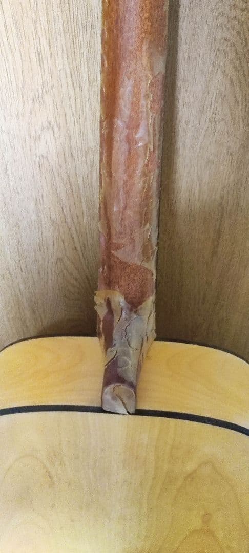 ギャリソン G20 アコースティックギター